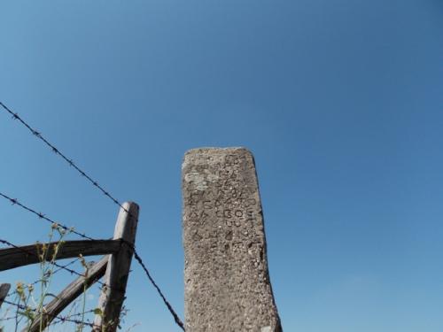 Споменици некрополе у близини Бијелића гробља